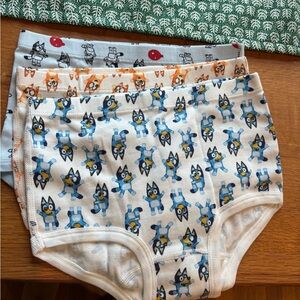 Girls 3 pack Bluey Print Underwear Set - Hanna Andersson size M - NWOT